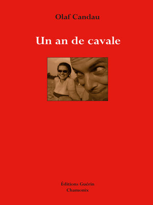cover image of Un an de cavale